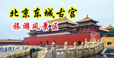 大奶子美女被大鸡巴强日中国北京-东城古宫旅游风景区
